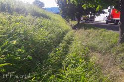 2020 08 27 T03 Vu B76 Frigopol   20200827 165209 Bearbeitet 20200827 1821197045