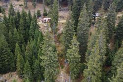 2022 10 15 Khd Ubung Waldbrand Barntal   Dji 0839 20221016 1533912544