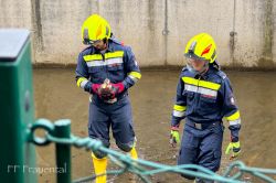 2024 07 20 Tierrettung Ente   Img 9849 20240721 1178775598